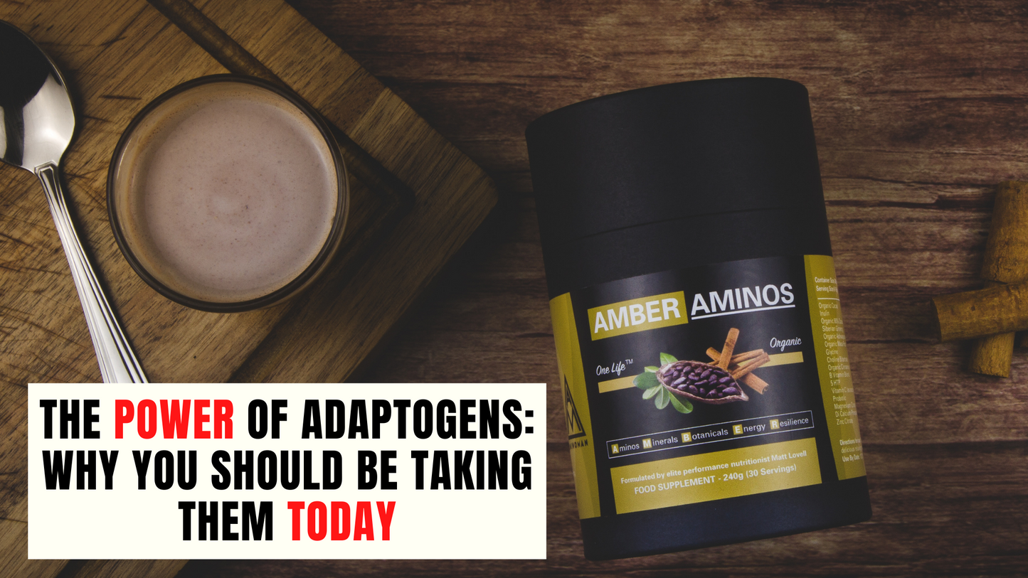 The Power of Adaptogens: Why you should be taking them today