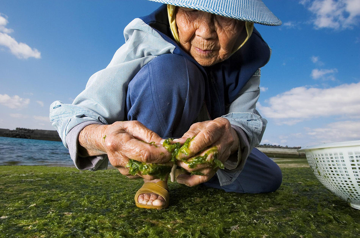 The Blue Zones longevity secrets - 3 to adopt!