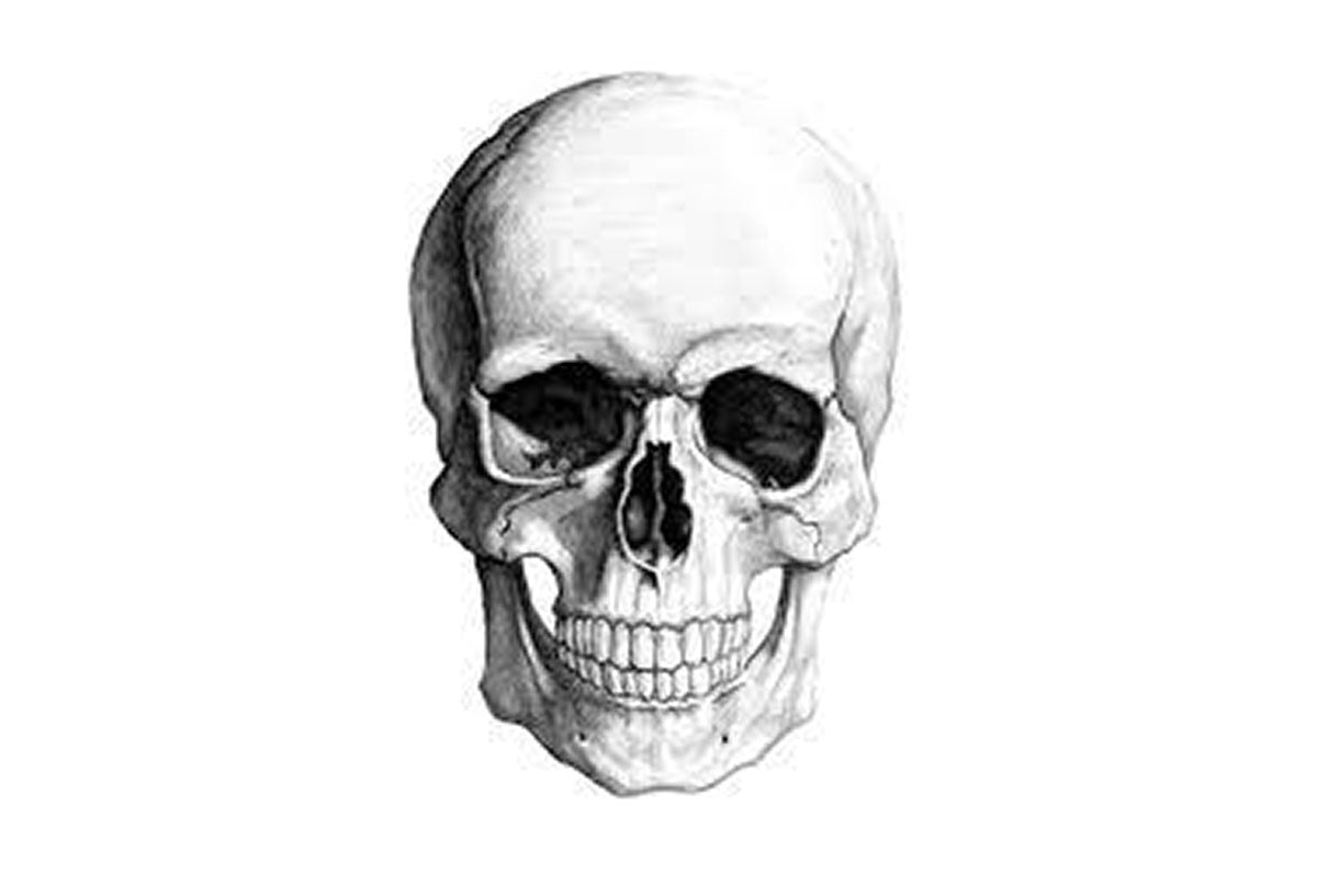 Bone Mineral density