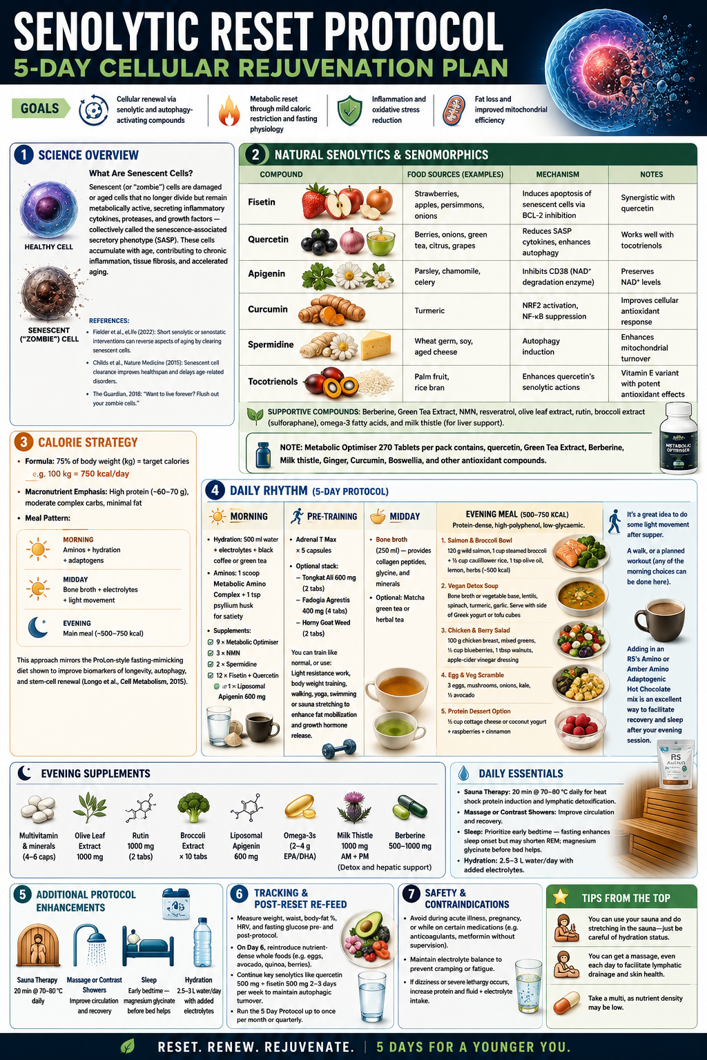 Senolytic Reset Protocol