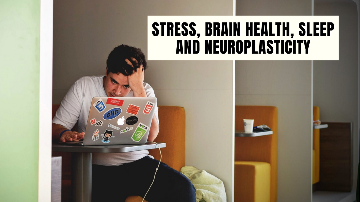 Stress, Brain Health, Sleep and Neuroplasticity