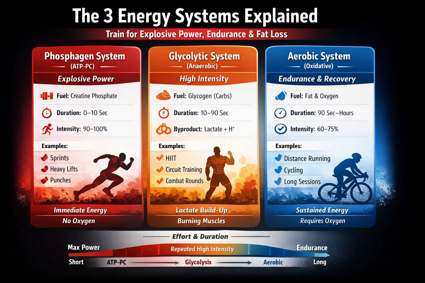 “The 3 Energy Systems Explained: How to Train for Explosive Power, Endurance & Fat Loss (Zone 2, VO2 Max & FatMax Guide)”