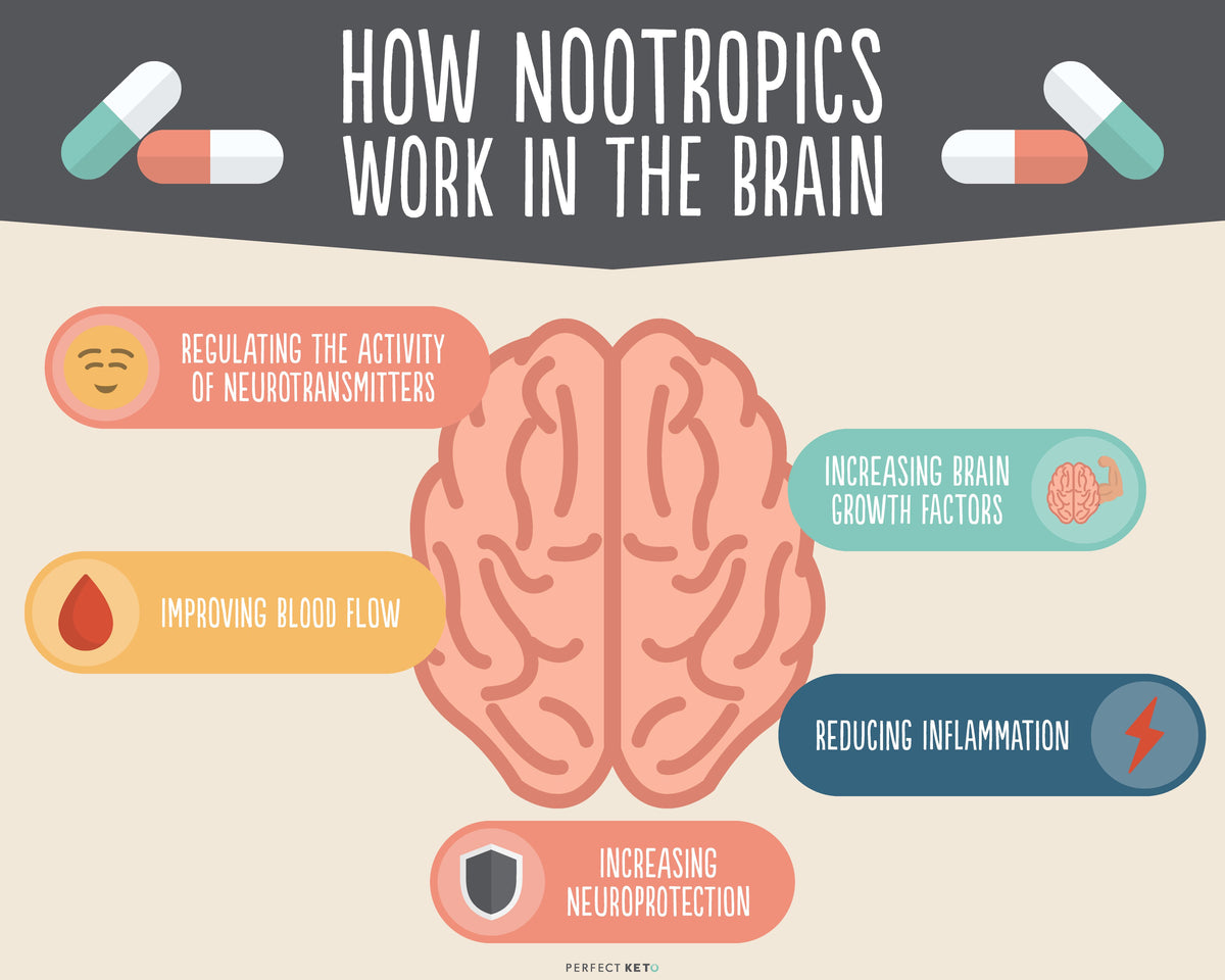 Focus Sustain Natural Nootropics (things which make the brain work faster)