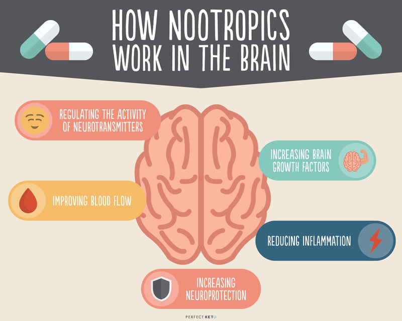 Focus Sustain Natural Nootropics (things which make the brain work faster)
