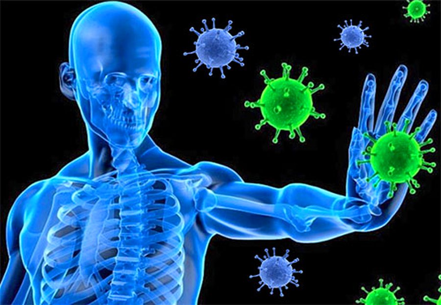 It's Bug Season! - How to Boost Your Immune System Naturally