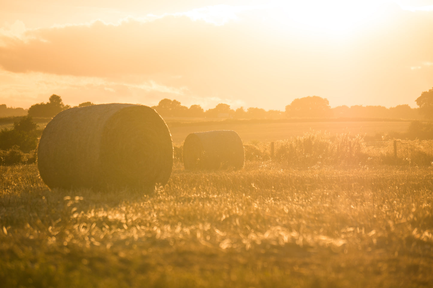Soon be hay fever season...these tips can really help