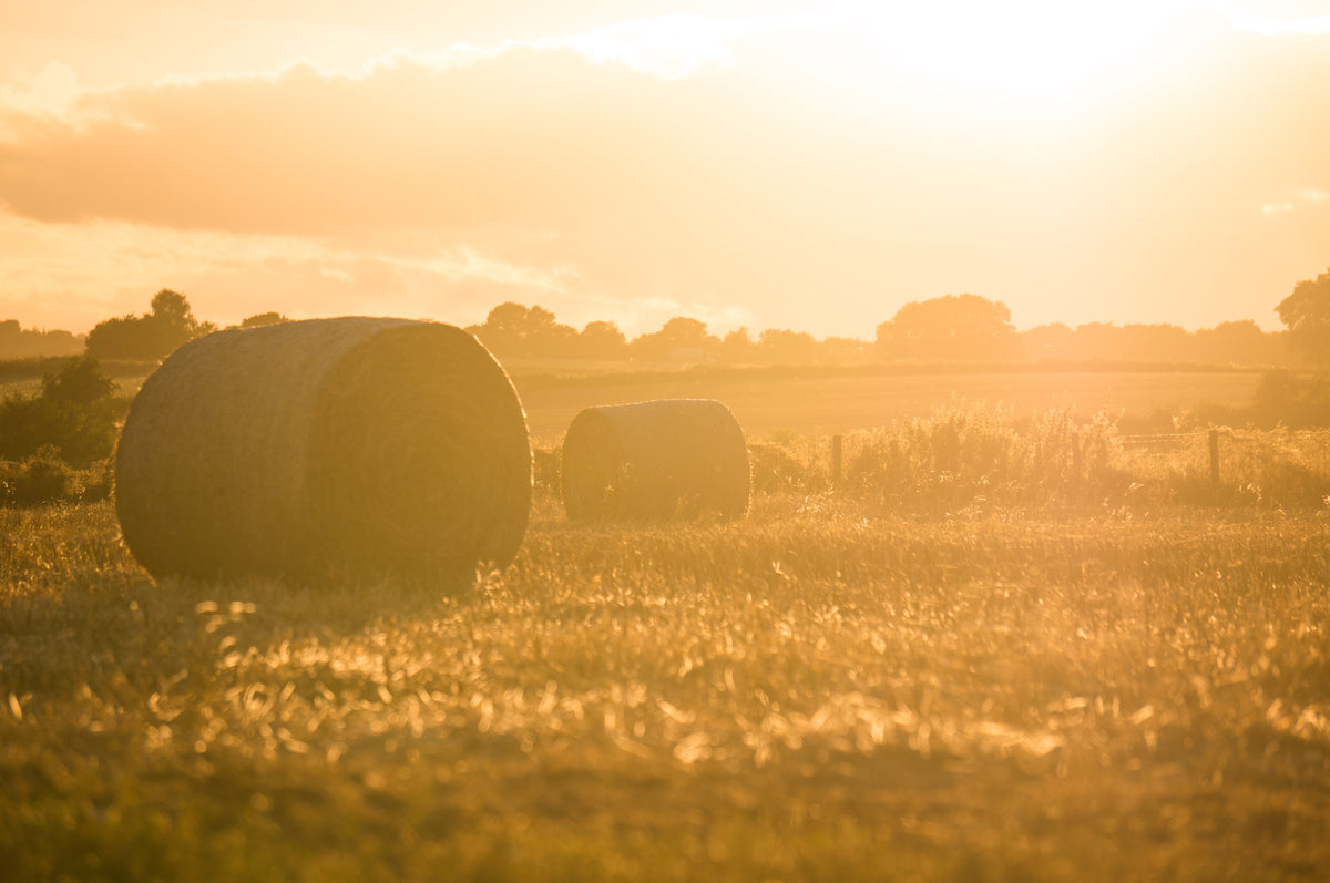 Soon be hay fever season...these tips can really help